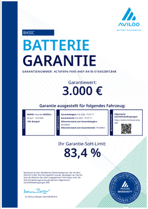 Batterie-Warranty